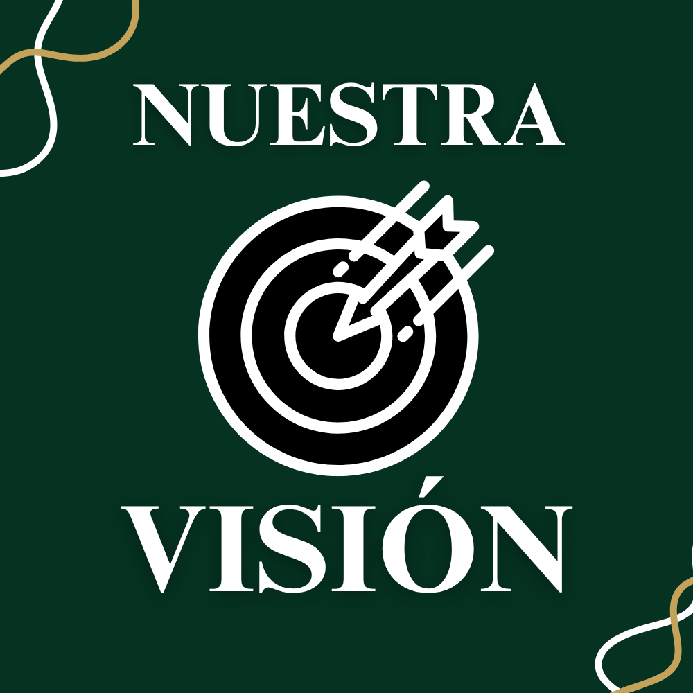 Visión